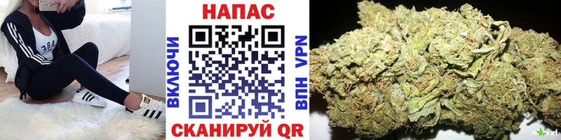 Виды наркотиков купить Новоуральск Канабис  А ПВП  Меф 