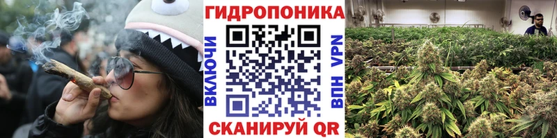 Конопля семена Новоуральск